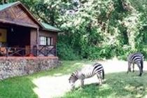 Mount Meru Game Lodge Аруша Экстерьер фото